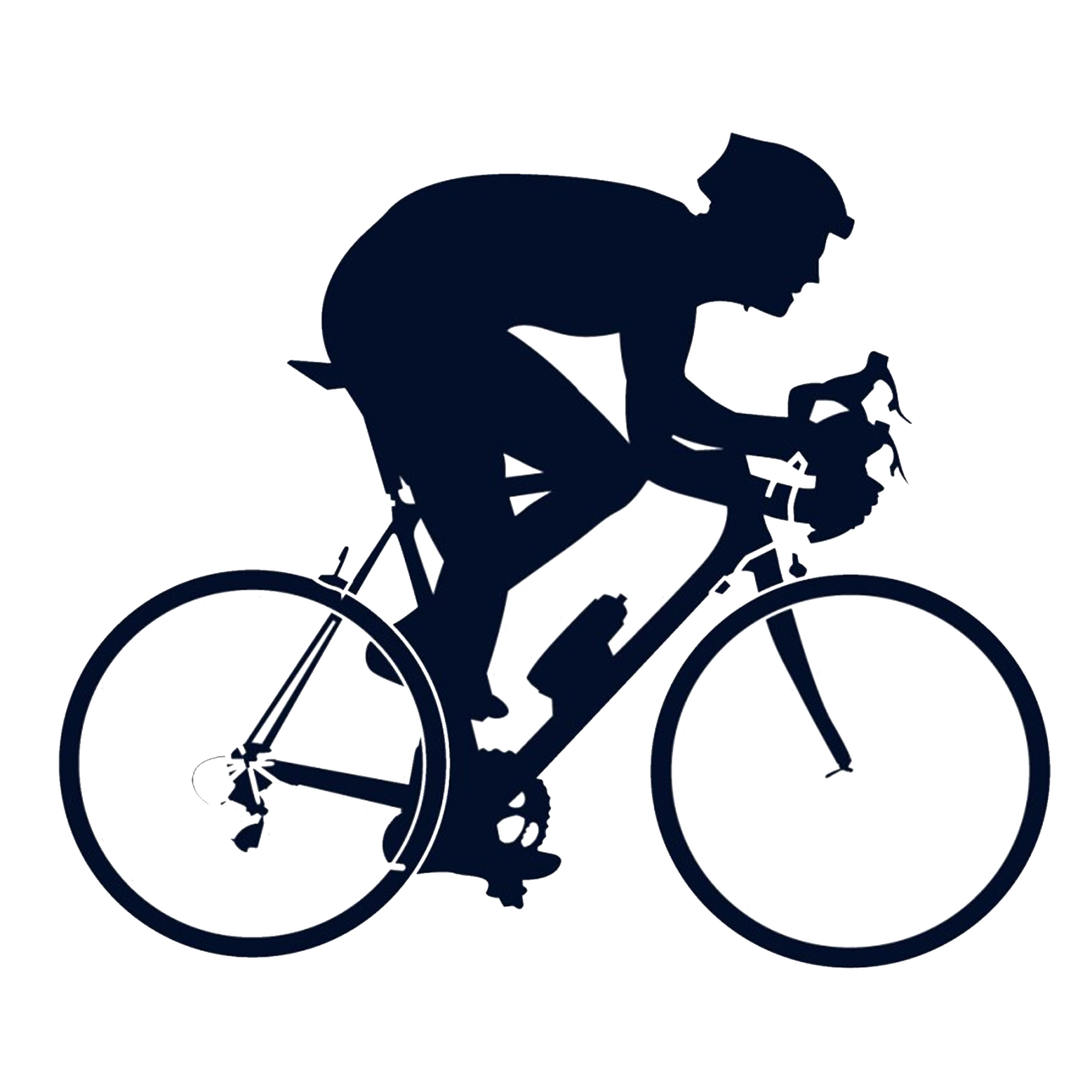 race-information-hindayan